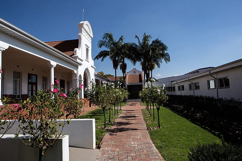 The brick walkway and palms between the hospital wings.