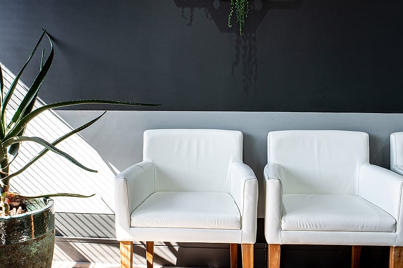 White armchairs between potted plants beneath the waiting-room window.